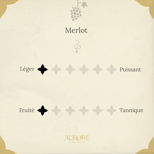 Bib 3 litres vin rouge Merlot